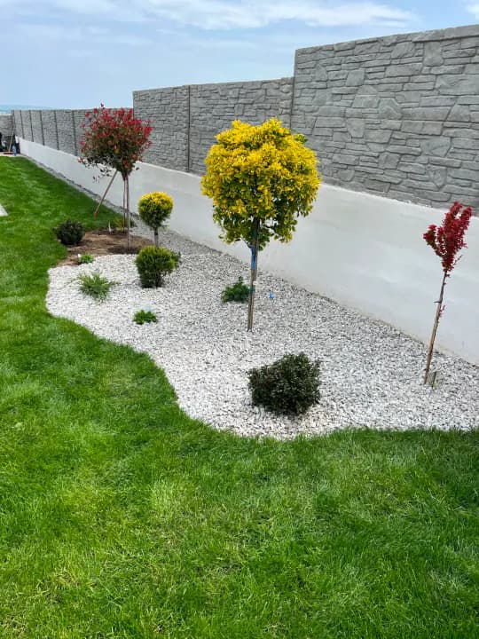 Plantare arbori ornamentali în pat de pietriș decorativ lângă gard — Iași