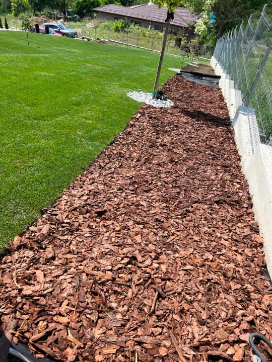 Pat de mulch lemnos și gazon verde de-a lungul gardului — amenajare curte Iași