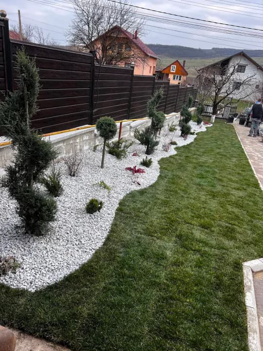 Amenajare peisagistică cu gazon și flori sezoniere — curte Iași