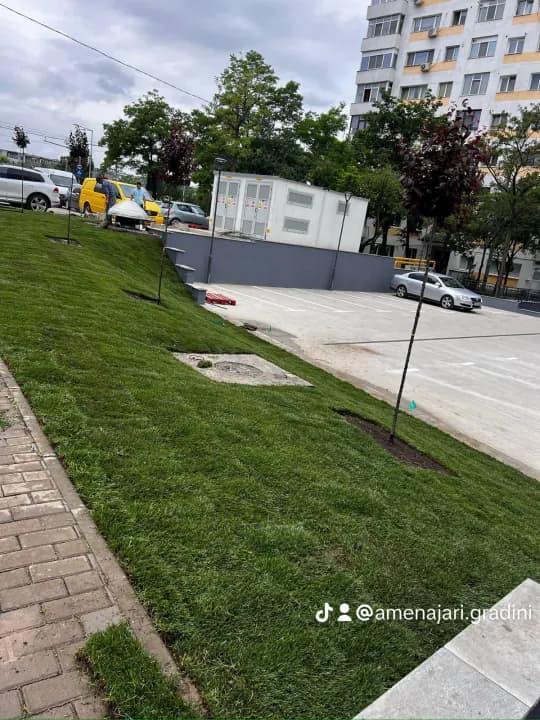 Amenajare spațiu verde pe pantă lângă parcare cu gazon rulou — Iași