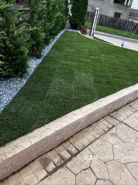 Gazon rulou cu gard viu tuia și piatră decorativă — curte rezidențială Iași
