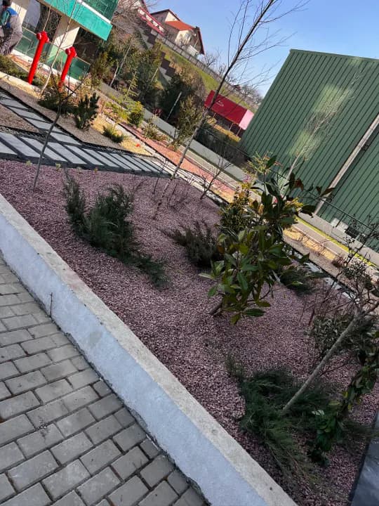 Design peisagistic cu arbori și arbuști ornamentali — grădină Iași