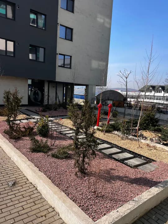 Grădină finalizată cu gazon verde și plante perene — Iași
