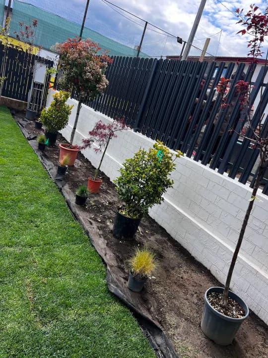 Spațiu verde amenajat cu irigații și plante decorative — Iași
