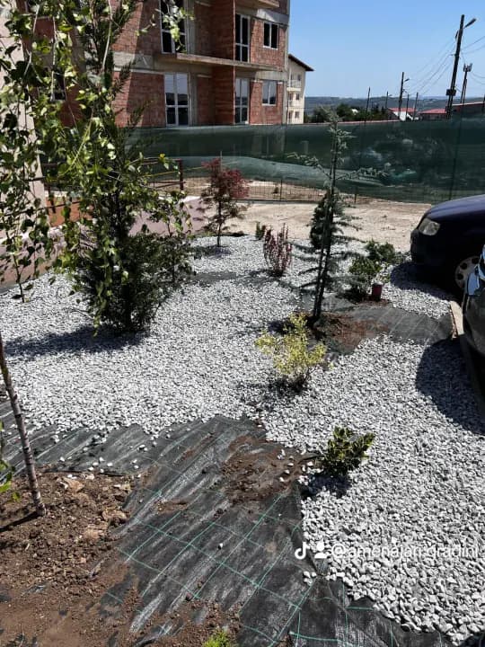 Plantare arbuști ornamentali pe pietriș cu geotextil — proiect Iași