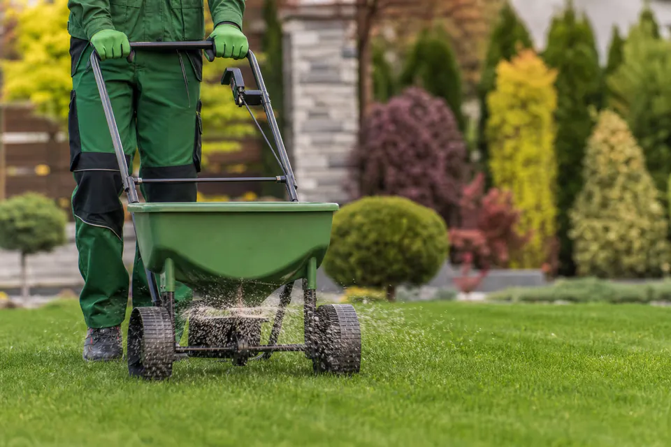 Fertilizare profesională gazon — tratament sezonier pentru gazon sănătos și dens în Iași